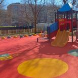 INDID Venaria Don Tonus (3)